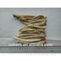 natural and dried Platycodon Root in good color no sulfur